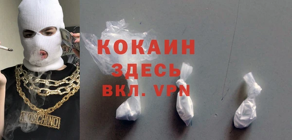 дмт Краснослободск