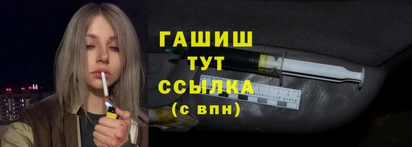 дмт Краснослободск