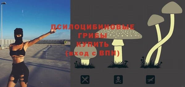дмт Краснослободск
