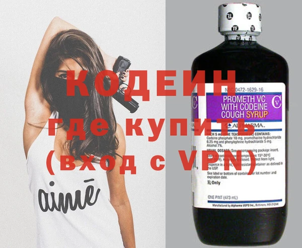 трава Коряжма