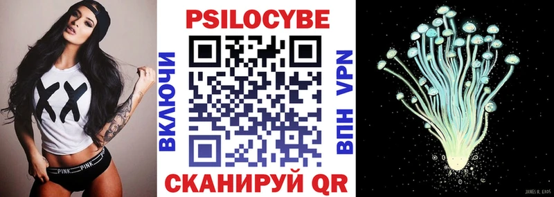 Галлюциногенные грибы Psilocybine cubensis  Купить  Бор 